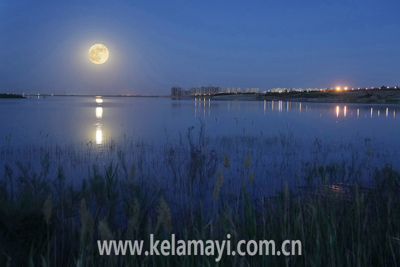 5月26日,超级月亮的倒影洒在我市金龙湖湖面上